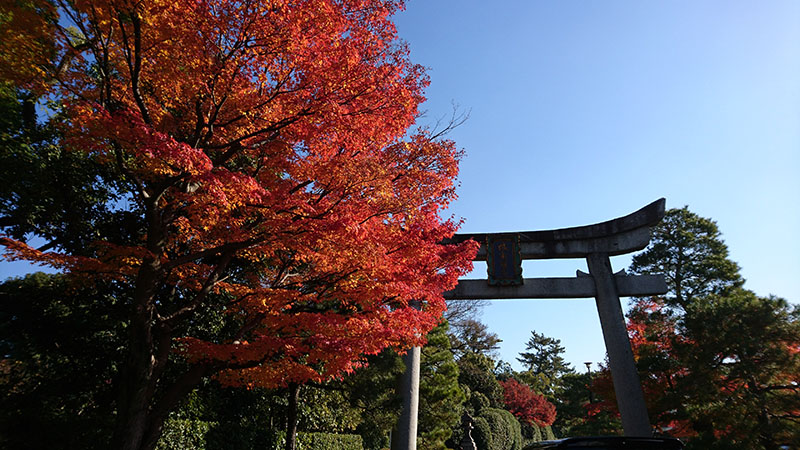 DSC_0128H.jpg
