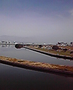 201211041101000.jpg