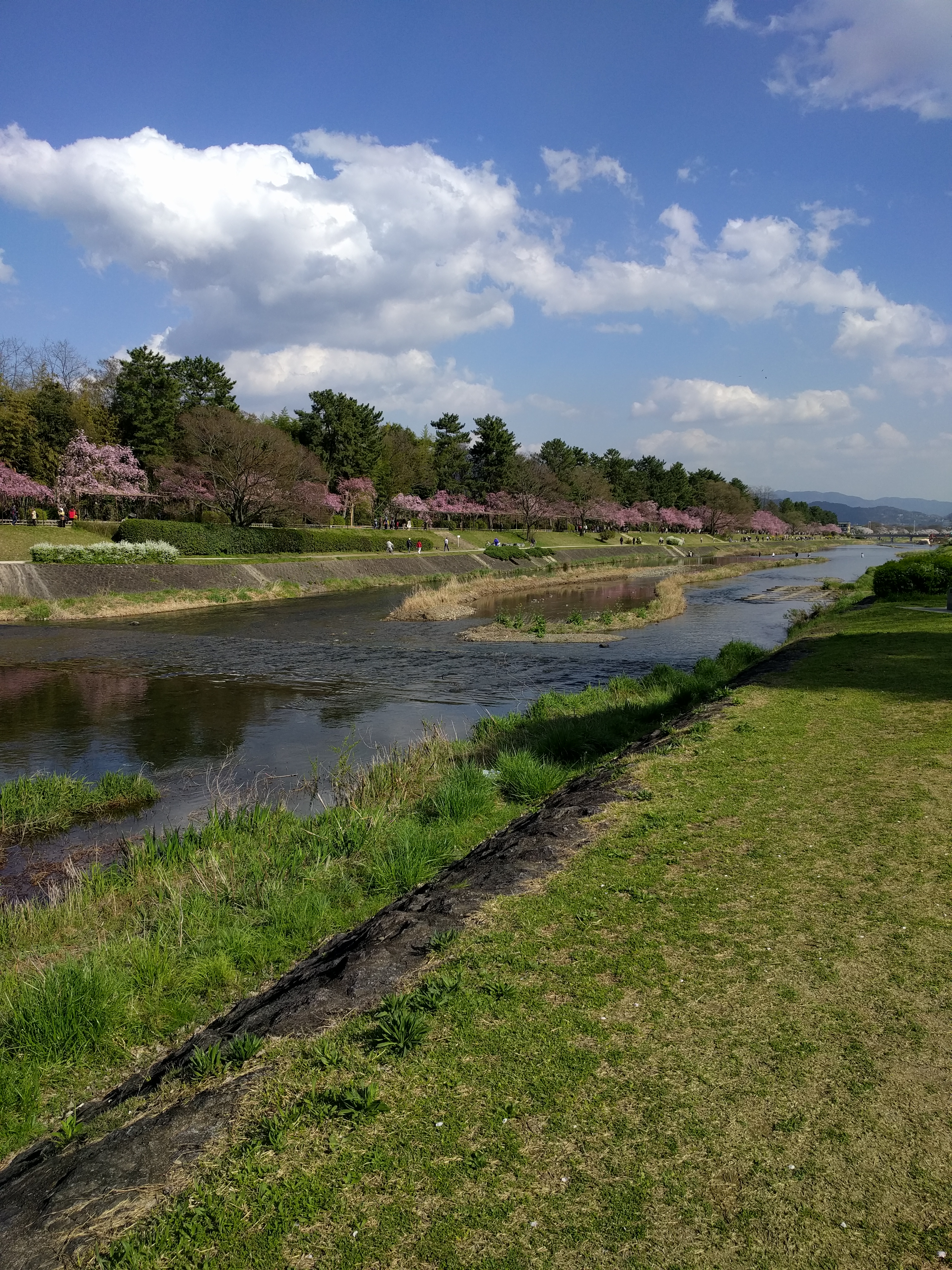 http://www.810810.co.jp/blog_run7/2017/04/14/IMG_20170413_152119.jpg