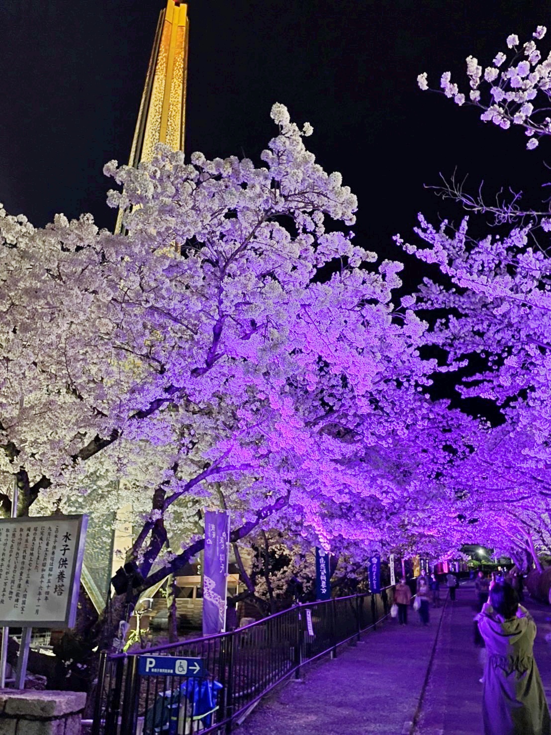 https://www.810810.co.jp/blog_example2/%E5%86%99%E7%9C%9F%E2%91%A8.jpg