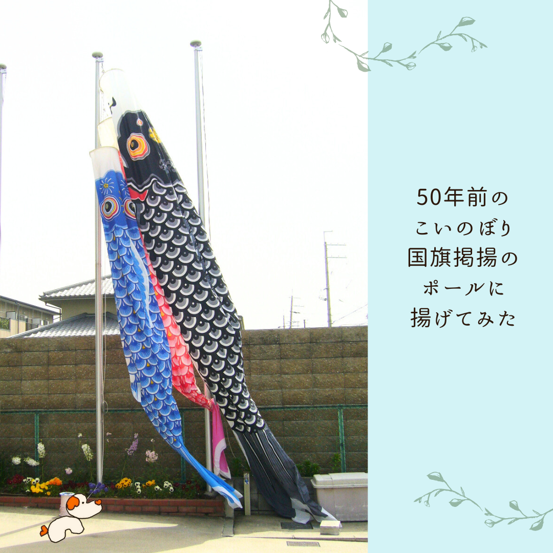 こいのぼり