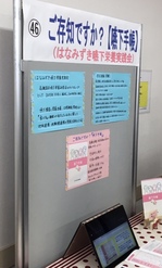 はなみずき1.jpeg