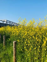 IMG_0324.jpgのサムネイル画像