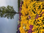 IMG_1513.jpg